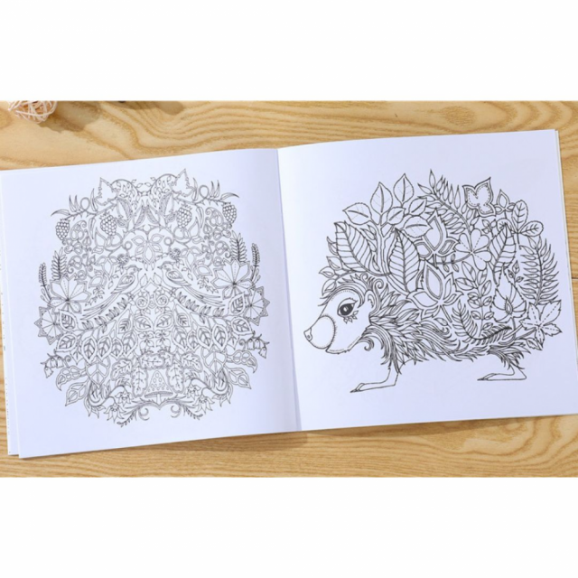 英文版《魔法森林》著色本24頁，輕薄小本好攜帶  長x寬18.5cm療癒、紓壓、靜心