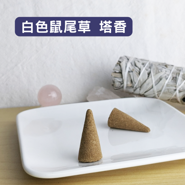 白色鼠尾草塔香100支裝 香椎 空間淨化/水晶淨化/氣場淨化薰香，神聖空間、魔法儀式專用