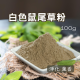 白色鼠尾草粉 100g 香氣濃郁 粉末細緻 香粉 空間淨化/水晶淨化/氣場淨化薰香，神聖空間、魔法儀式專用