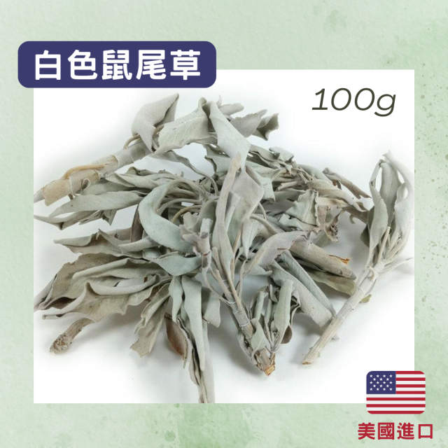 (買5送1) 白色鼠尾草 100g 原枝葉 美國進口 空間淨化/水晶淨化/氣場淨化薰香，神聖空間、魔法儀式專用