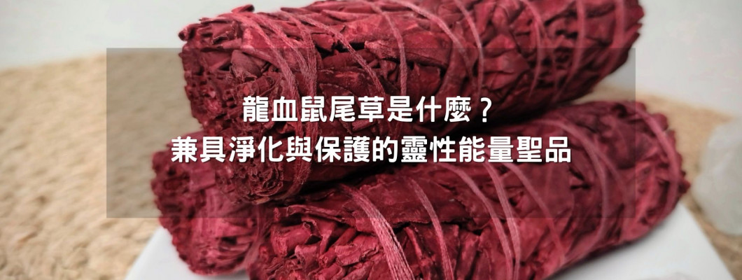 龍血鼠尾草是什麼? 兼具淨化與保護的靈性能量聖品 龍血鼠尾草是什麼? 兼具淨化與保護的靈性能量聖品