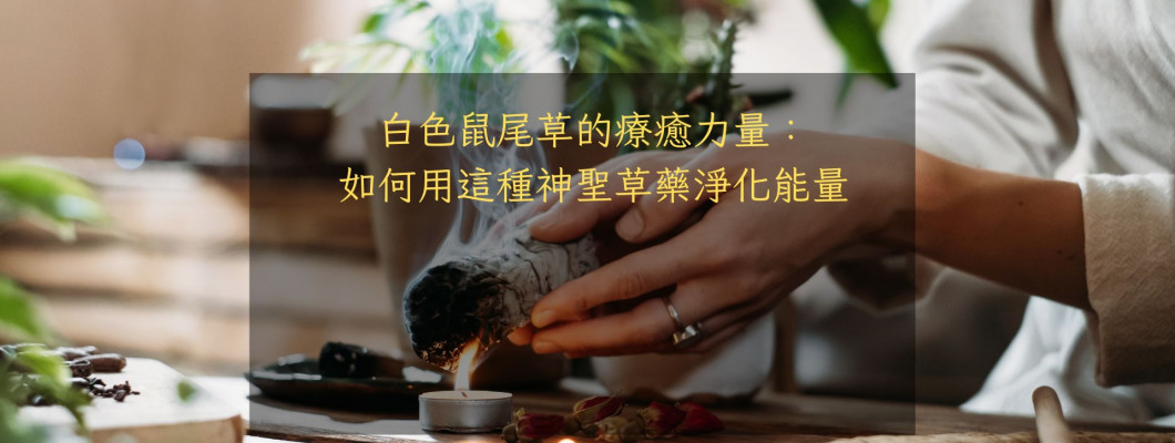 白色鼠尾草的療癒力量:如何用這種神聖草藥淨化能量 白色鼠尾草的療癒力量:如何用這種神聖草藥淨化能量