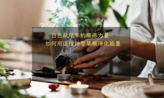 白色鼠尾草的療癒力量：如何用這種神聖草藥淨化能量