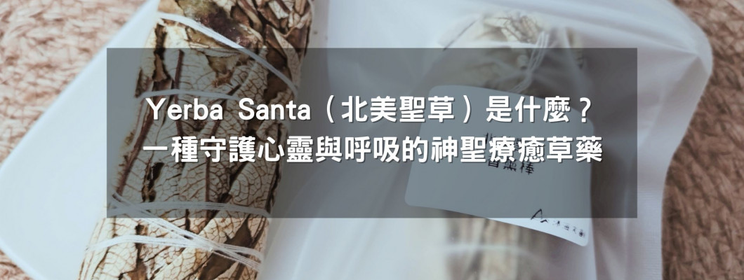 Yerba Santa(北美聖草)是什麼?一種守護心靈與呼吸的神聖療癒草藥 Yerba Santa(北美聖草)是什麼?一種守護心靈與呼吸的神聖療癒草藥