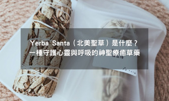 Yerba Santa（北美聖草）是什麼？一種守護心靈與呼吸的神聖療癒草藥
