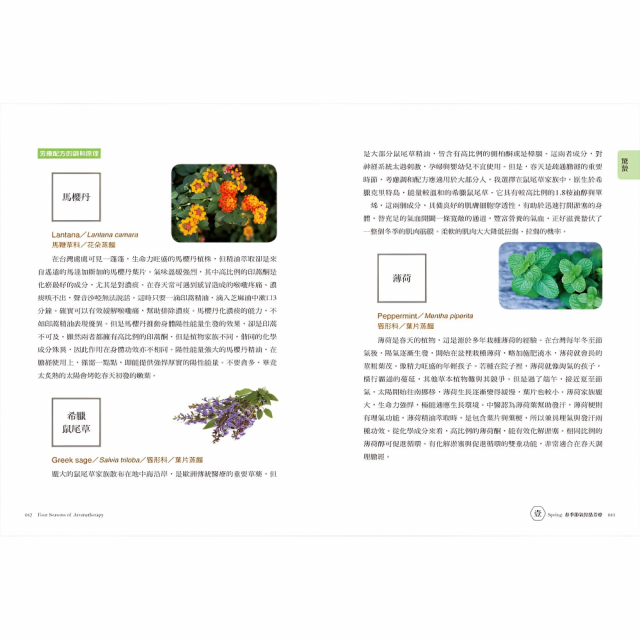 24節氣‧經絡芳療自癒全書：用12經絡強效配方油與按摩手法，掌握時機調體質、養氣血
