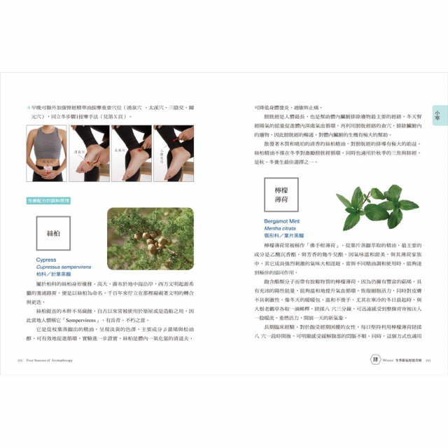 24節氣‧經絡芳療自癒全書：用12經絡強效配方油與按摩手法，掌握時機調體質、養氣血
