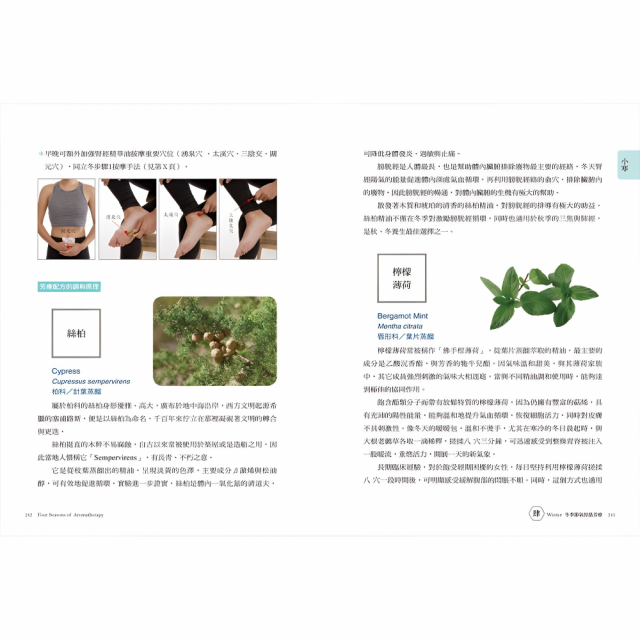 24節氣‧經絡芳療自癒全書：用12經絡強效配方油與按摩手法，掌握時機調體質、養氣血