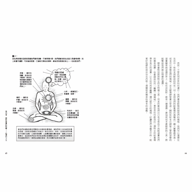 眾神的食物【食氣三部曲1】：以神性養分「普拉納」維生，從「身體、情緒、心智、靈性」的飢餓中解脫 (電子書)