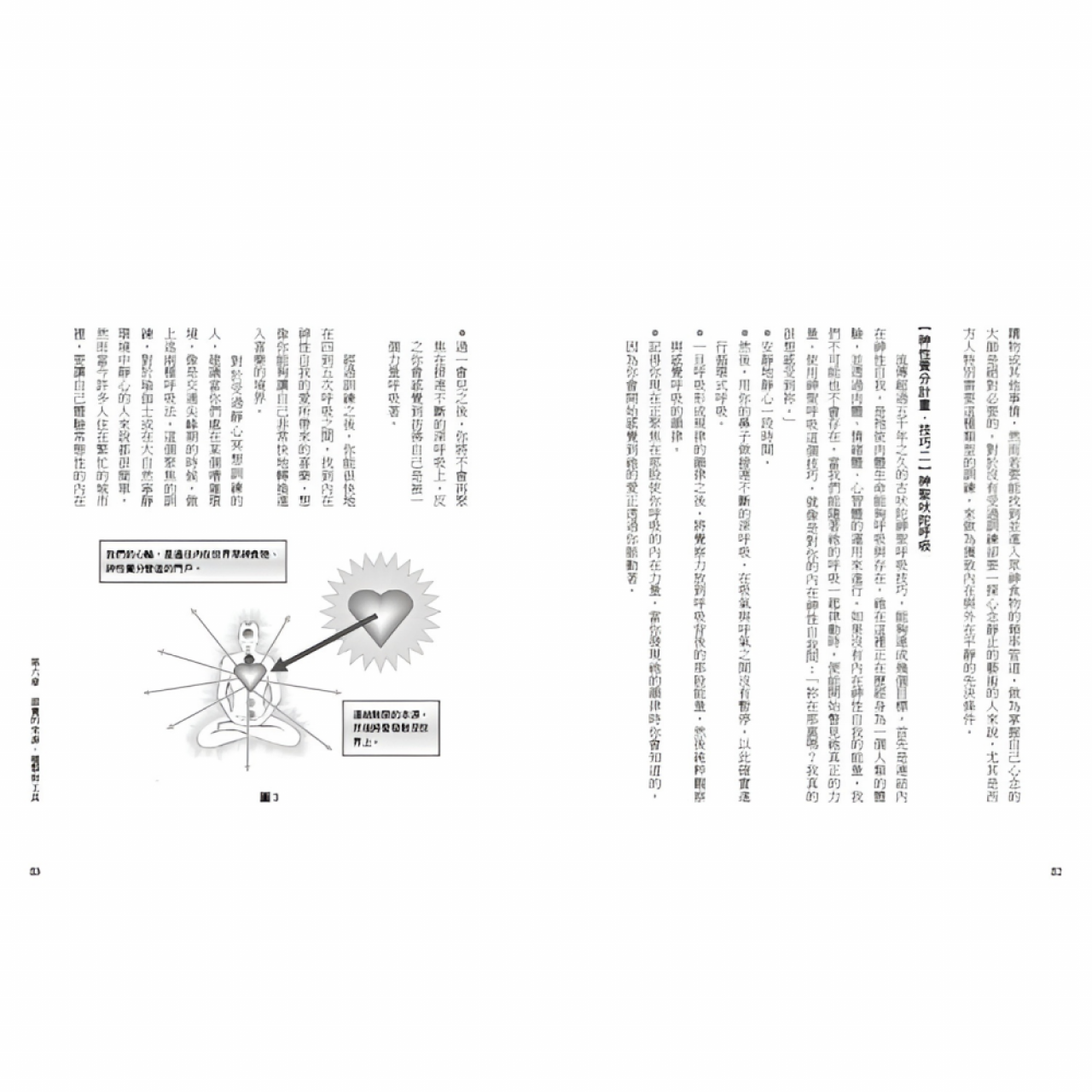 眾神的食物【食氣三部曲1】:以神性養分「普拉納」維生,從「身體、情緒、心智、靈性」的飢餓中解脫 (電子書) 🚚🚚 現貨供應,每日出貨 🚚🚚