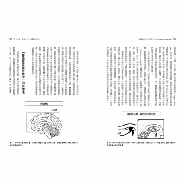 開啟你的驚人天賦：科學證實你能活出極致美好的人生狀態