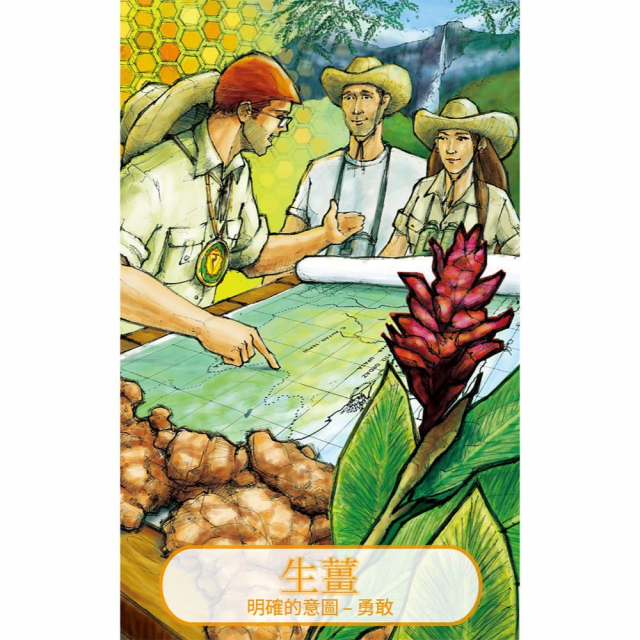 精油直覺卡：70種精油訊息x 40種實用配方，舒緩情緒不安，滋養身心正能量