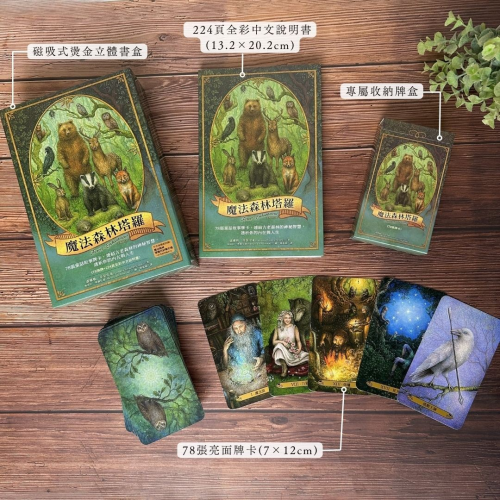 魔法森林塔羅：78張童話故事牌卡，連結古老森林的神秘智慧，透析你的內在與人生