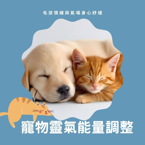 【毛孩/寵物靈氣】用靈氣輔助調整毛孩、寵物的身心能量場，幫助身體跟心靈舒緩，做能量調整